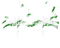 Twin Trees Logo